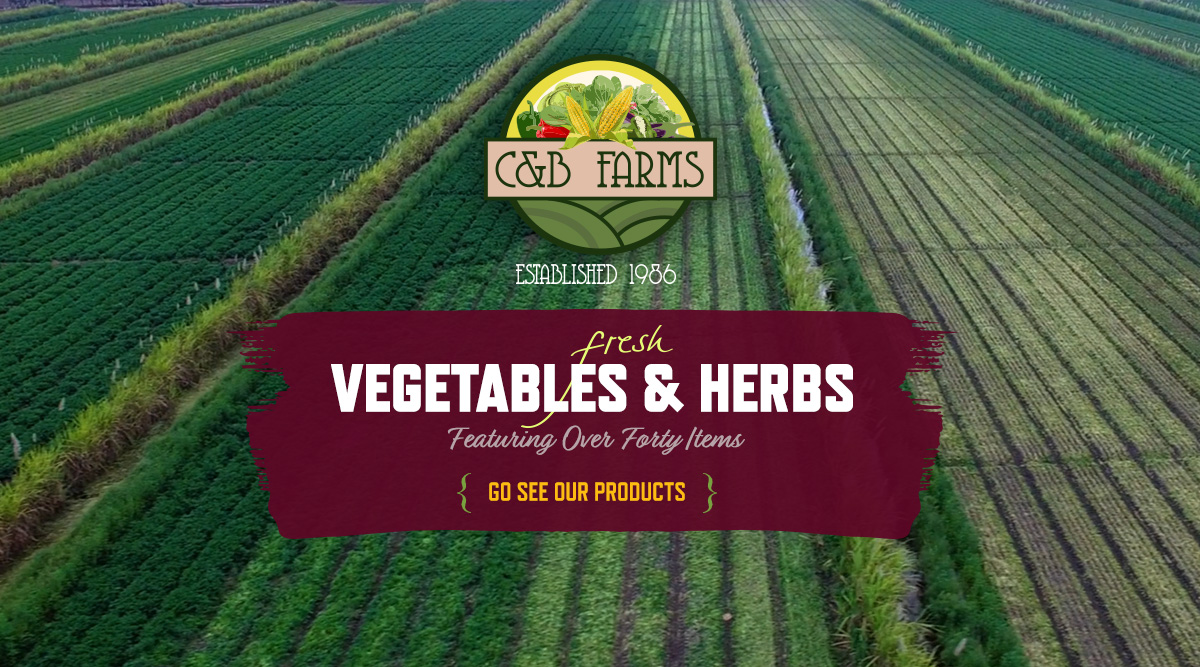 Florida Sustainable Farming, Produce, Vegetable & Herb Farms | C & B Farms